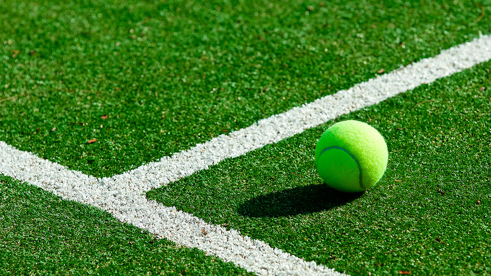 Травяное покрытие для теннисного корта