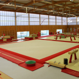 Покрытие ковровое 14х14 м для соревнований и тренировок по спортивной гимнастике - Сертификат FIG