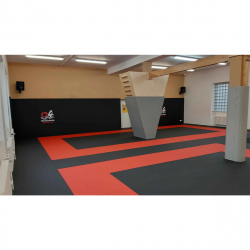 Татами MMA соревновательные